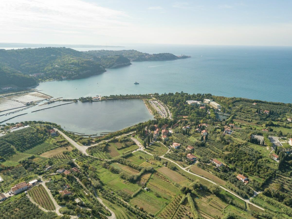 Talaso-Strunjan Talaso-Strunjan