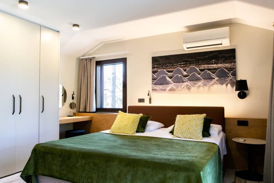 Deluxe Suite Famigliare con terazza o balcone 1